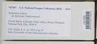Image Associated With the Occurence